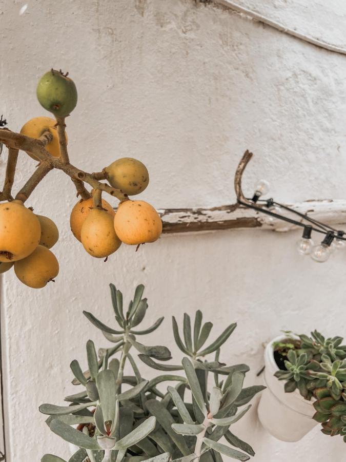 شقة Apartamento C-Alma En El Corazon De Vejer مْبيخير ذي لا فرونتيرا المظهر الخارجي الصورة